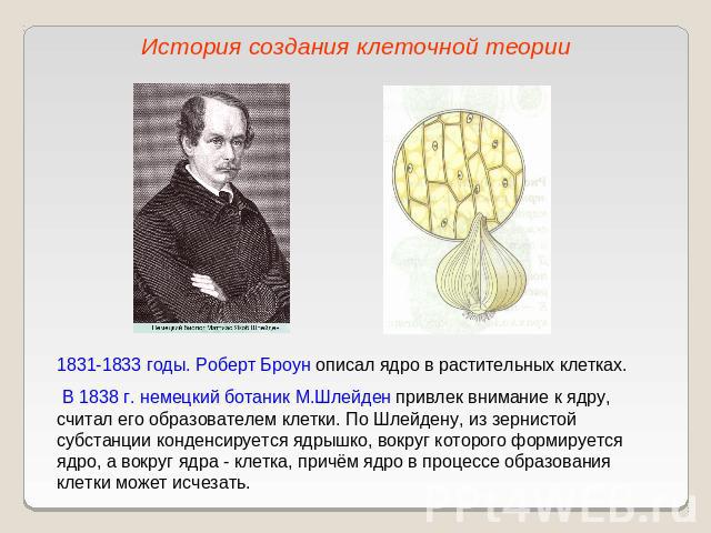 История создания клеточной теории1831-1833 годы. Роберт Броун описал ядро в растительных клетках. В 1838 г. немецкий ботаник М.Шлейден привлек внимание к ядру, считал его образователем клетки. По Шлейдену, из зернистой субстанции конденсируется ядры…