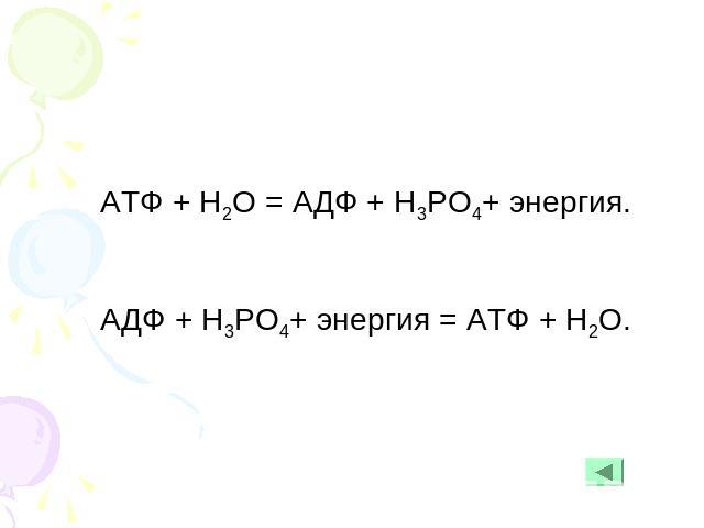 АТФ + Н2О = АДФ + Н3РО4+ энергия.АДФ + Н3РО4+ энергия = АТФ + Н2О.