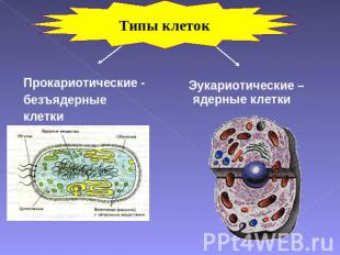 Типы клеток Прокариотические - безъядерныеклетки Эукариотические –ядерные клетки