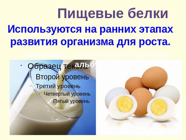 Пищевые белки Используются на ранних этапах развития организма для роста.Например, казеин молока, яичный альбумин.