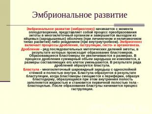 Эмбриональное развитие Эмбриональное развитие (эмбриогенез) начинается с момента