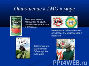 Отношение к ГМО в мире Томатное пюре – первый ГМ-продукт,появившийся в Европев 1
