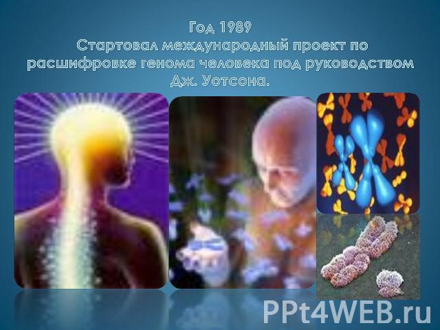 Год 1989 Стартовал международный проект по расшифровке генома человека под руководством Дж. Уотсона.