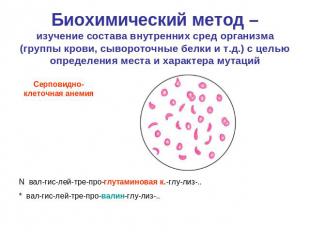 Биохимический метод –изучение состава внутренних сред организма (группы крови, с