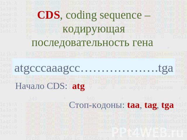 CDS, coding sequence –кодирующая последовательность гена