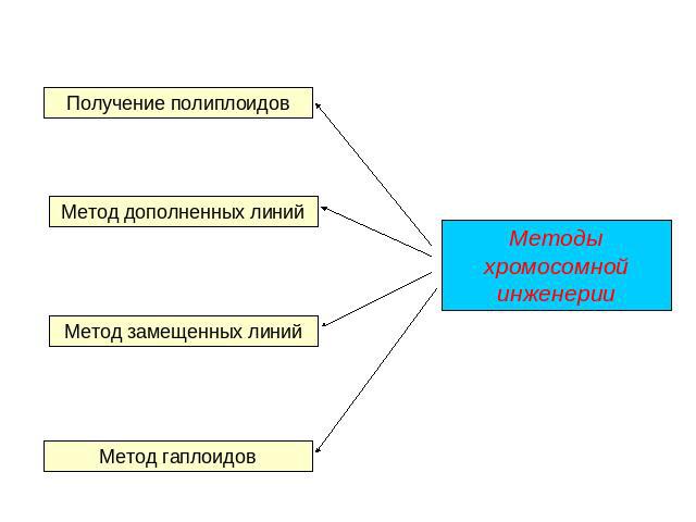 Методы хромосомной инженерииПолучение полиплоидовМетод дополненных линийМетод замещенных линийМетод гаплоидов