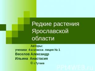 Редкие растения Ярославской области Авторы:ученики 4-а класса лицея № 1 Веселов