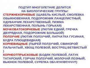 ПОДТИП МНОГОЛЕТНИЕ ДЕЛИТСЯ НА БИОЛОГИЧЕСКИЕ ГРУППЫ:СТЕРЖНЕКОРНЕВЫЕ (ЩАВЕЛЬ КИСЛЫ