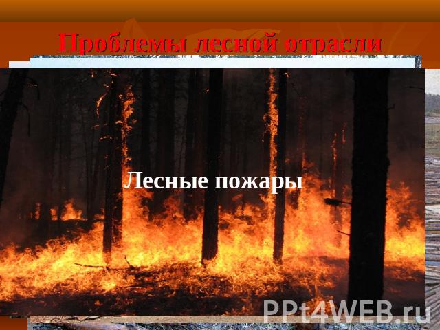 Проблемы лесной отрасли Лесные пожары