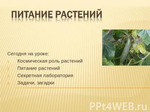 Питание растений Сегодня на уроке:Космическая роль растенийПитание растенийСекре