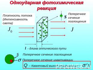 Одноударная фотохимическая реакция Плотность потока(Интенсивность света)Поперечн
