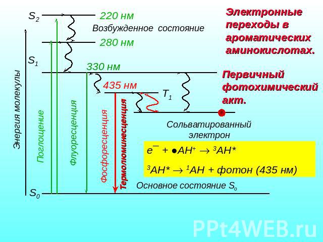 Электронные переходы в ароматических аминокислотах. Первичный фотохимический акт.