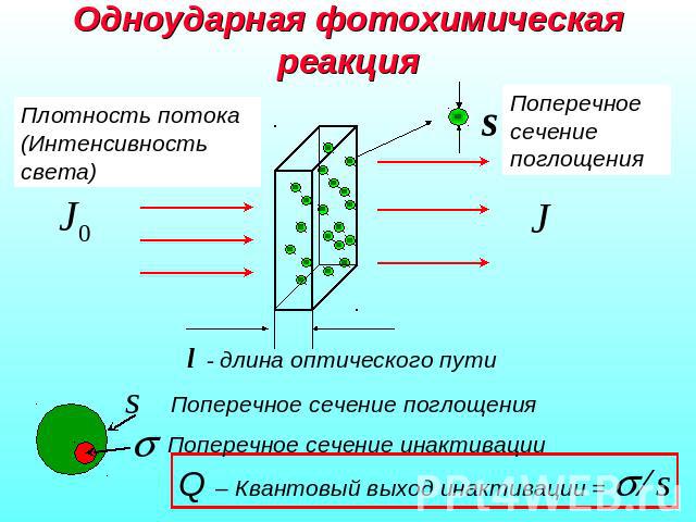 Одноударная фотохимическая реакция Плотность потока(Интенсивность света)Поперечное сечение поглощения