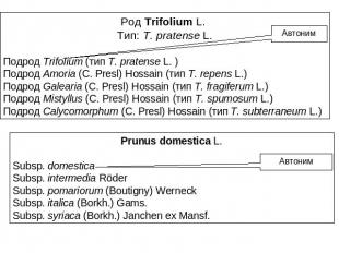 Род Trifolium L. Тип: T. pratense L.Подрод Trifolium (тип T. pratense L. )Подрод
