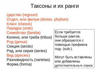 Таксоны и их рангиЦарство (regnum)Отдел, или филум (divisio, phyllum)Класс (clas