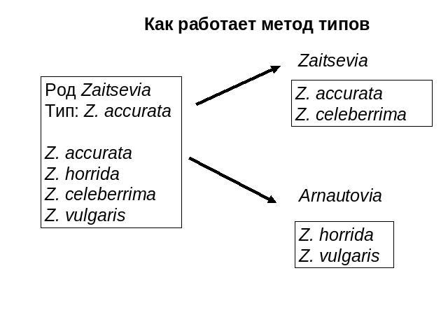 Как работает метод типовРод ZaitseviaТип: Z. accurataZ. accurataZ. horridaZ. celeberrimaZ. vulgarisZ. accurataZ. celeberrimaZ. horridaZ. vulgaris