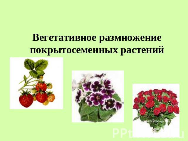 Вегетативное размножение покрытосеменных растений