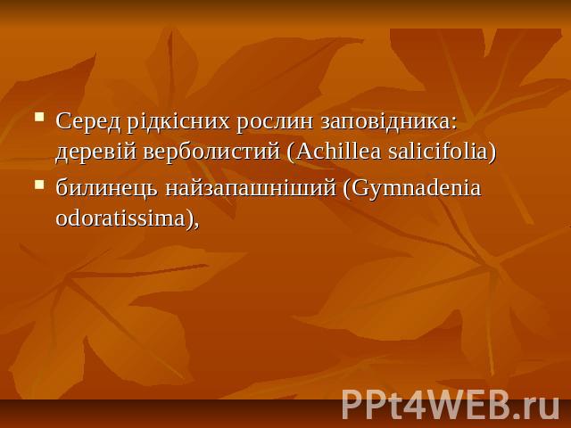 Серед рiдкicних рослин заповідника: деревій верболистий (Achillea salicifolia)билинець найзапашніший (Gymnadenia odoratissima),