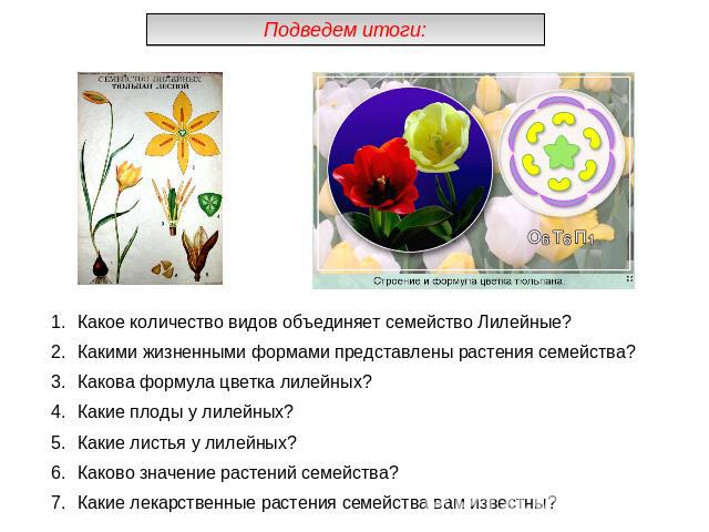 Подведем итоги:Какое количество видов объединяет семейство Лилейные?Какими жизненными формами представлены растения семейства?Какова формула цветка лилейных?Какие плоды у лилейных?Какие листья у лилейных?Каково значение растений семейства?Какие лека…
