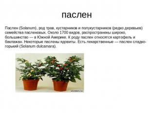 паслен Паслен (Solanum), род трав, кустарников и полукустарников (редко деревьев