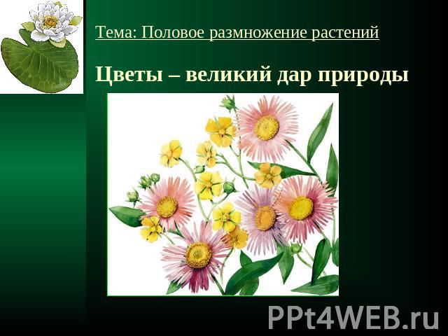 Тема: Половое размножение растенийЦветы – великий дар природы