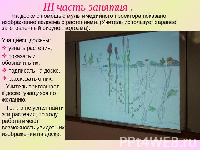 III часть занятия . На доске с помощью мультимедийного проектора показано изображение водоема с растениями. (Учитель использует заранее заготовленный рисунок водоема).Учащиеся должны: узнать растения, показать и обозначить их, подписать на доске, ра…