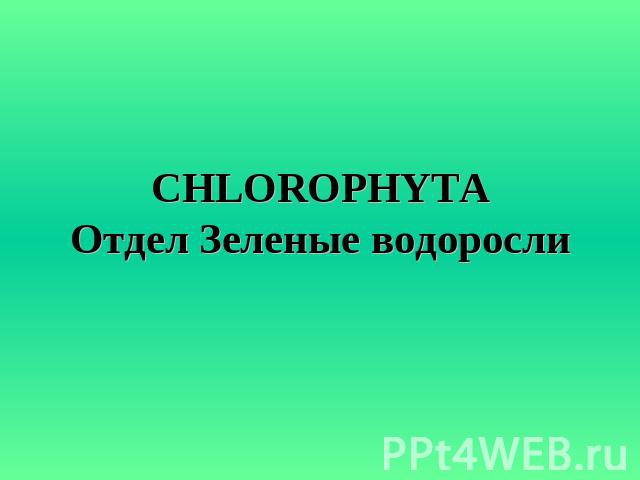 CHLOROPHYTAОтдел Зеленые водоросли