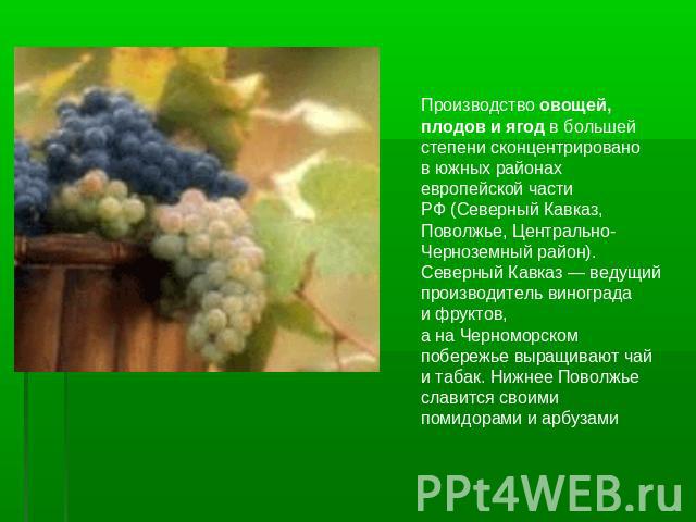 Производство овощей, плодов и ягод в большей степени сконцентрировано в южных районах европейской части РФ (Северный Кавказ, Поволжье, Центрально-Черноземный район). Северный Кавказ — ведущий производитель винограда и фруктов, а на Черноморском побе…