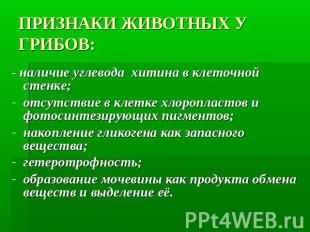 ПРИЗНАКИ ЖИВОТНЫХ У ГРИБОВ: - наличие углевода  хитина в клеточной стенке;отсутс