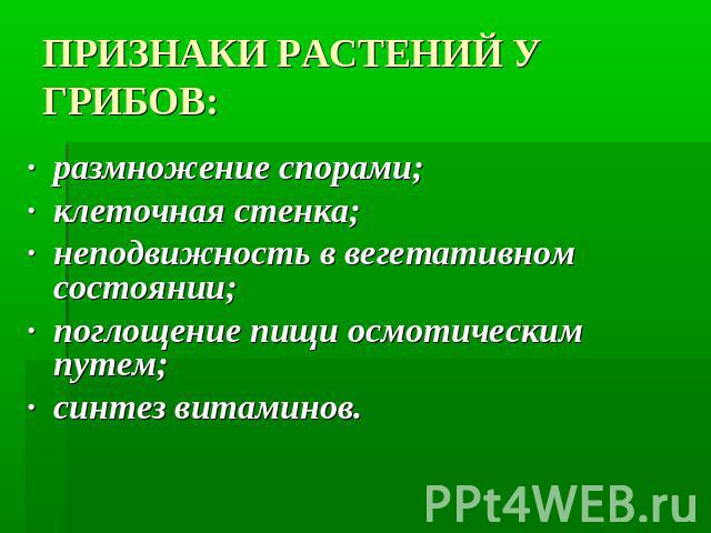 ПРИЗНАКИ РАСТЕНИЙ У ГРИБОВ: ·  размножение спорами;·  клеточная стенка;·  неподвижность в вегетативном состоянии;·  поглощение пищи осмотическим путем;·  синтез витаминов.