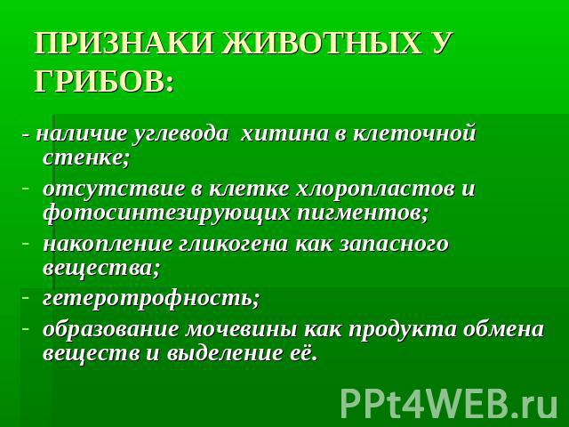 ПРИЗНАКИ ЖИВОТНЫХ У ГРИБОВ: - наличие углевода  хитина в клеточной стенке;отсутствие в клетке хлоропластов и фотосинтезирующих пигментов;накопление гликогена как запасного вещества;гетеротрофность;образование мочевины как продукта обмена веществ и в…