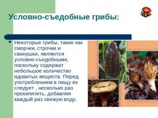 Условно-съедобные грибы: Некоторые грибы, такие как сморчки, строчки и свинушки,
