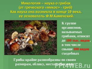 Микология – наука о грибах(от греческого «микос» - гриб) Как наука она возникла