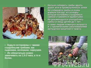 Нельзя собирать грибы вдоль дорог или в промышленных зонахНе собирайте грибы в о