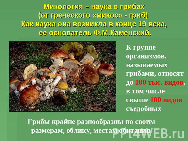 Микология – наука о грибах(от греческого «микос» - гриб) Как наука она возникла в конце 19 века, ее основатель Ф.М.Каменский. К группе организмов, называемых грибами, относят до 100 тыс. видов, в том числе свыше 100 видов съедобных Грибы крайне разн…