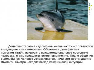 Дельфинотерапия - дельфины очень часто используются в медицине и психотерапии. О