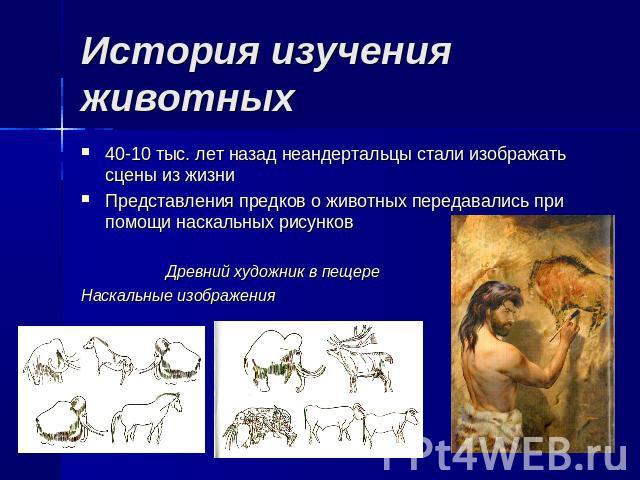 История изучения животных 40-10 тыс. лет назад неандертальцы стали изображать сцены из жизниПредставления предков о животных передавались при помощи наскальных рисунков Древний художник в пещереНаскальные изображения