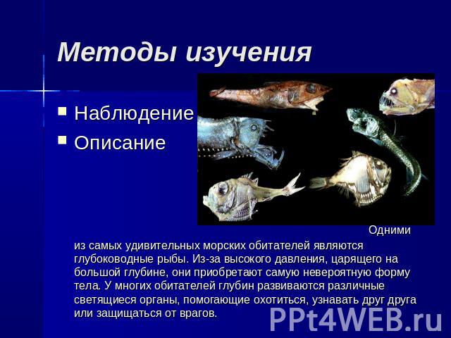 Методы изучения Наблюдение Описание Одними из самых удивительных морских обитателей являются глубоководные рыбы. Из-за высокого давления, царящего на большой глубине, они приобретают самую невероятную форму тела. У многих обитателей глубин развивают…