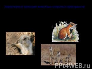 Характерные признаки животных открытых пространств У животных, питающихся травой