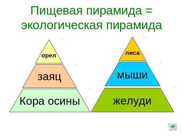 Пищевая пирамида = экологическая пирамида
