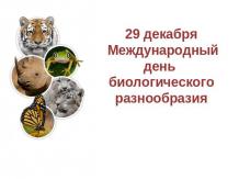 29 декабря - Международный день биологического разнообразия