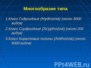Многообразие типа 1.Класс Гидроидные (Hydrozoa) (около 3000 видов)2.Класс Сцифои