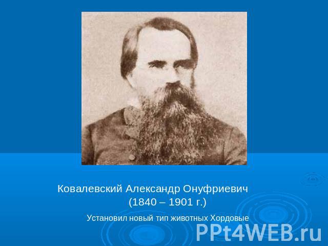 Ковалевский Александр Онуфриевич (1840 – 1901 г.)Установил новый тип животных Хордовые