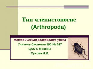 Тип членистоногие(Arthropoda) Методическая разработка урокаУчитель биологии ЦО №