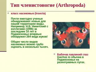 Тип членистоногие (Arthropoda) класс насекомые (Insecta)Почти ежегодно ученые об