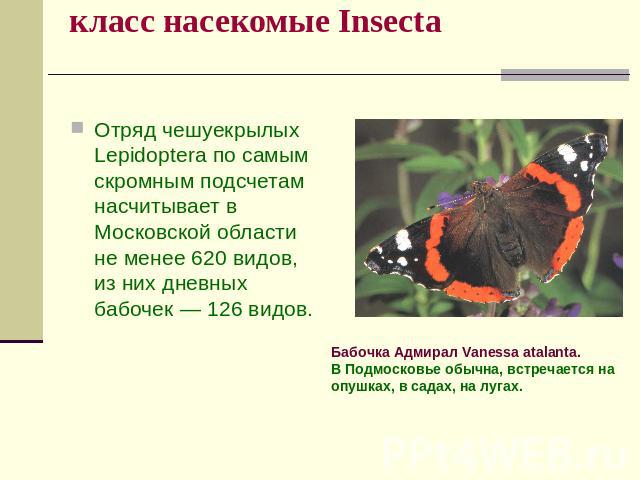 класс насекомые Insecta Отряд чешуекрылых Lepidoptera по самым скромным подсчетам насчитывает в Московской области не менее 620 видов, из них дневных бабочек — 126 видов.Бабочка Адмирал Vanessa atalanta. В Подмосковье обычна, встречается на опушках,…