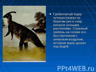 Гребенчатый ящер путешествовал по берегам рек и озер, питался сочными растениями