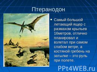 Птеранодон Самый большой летающий ящер с размахом крыльев 16метров, отлично план