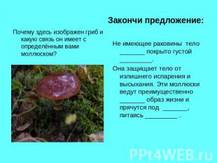 Закончи предложение: Почему здесь изображен гриб и какую связь он имеет с опреде