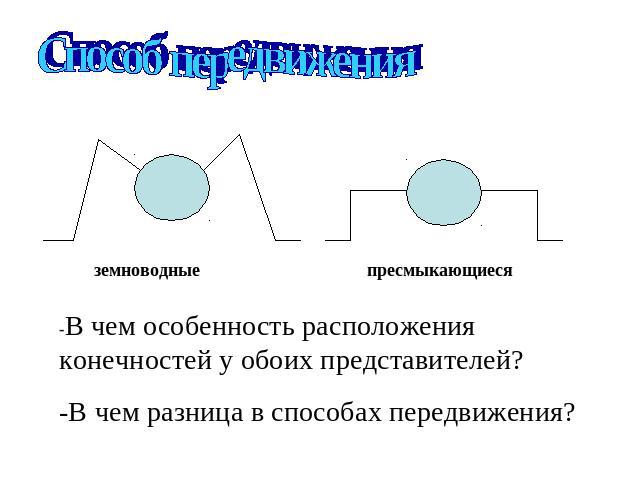 Используя рисунок 183 назовите особенности строения археоптерикса